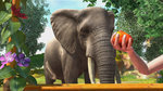 Wirtualne ZOO, Realna pomoc! – Premiera ZOO Tycoon