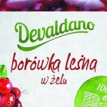 Nowość! Borówka leśna w żelu BIO od Devaldano – orzeźwiająco kwaskowy, delikatni